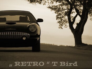 Old Vintage Garage, Ford Thunderbird 2003, Retrobird, T-Bird, Roadster, Cabrio schwarz, Tbird, Youngtimer classic car